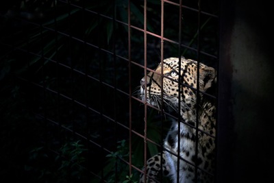 Photos: Portraits